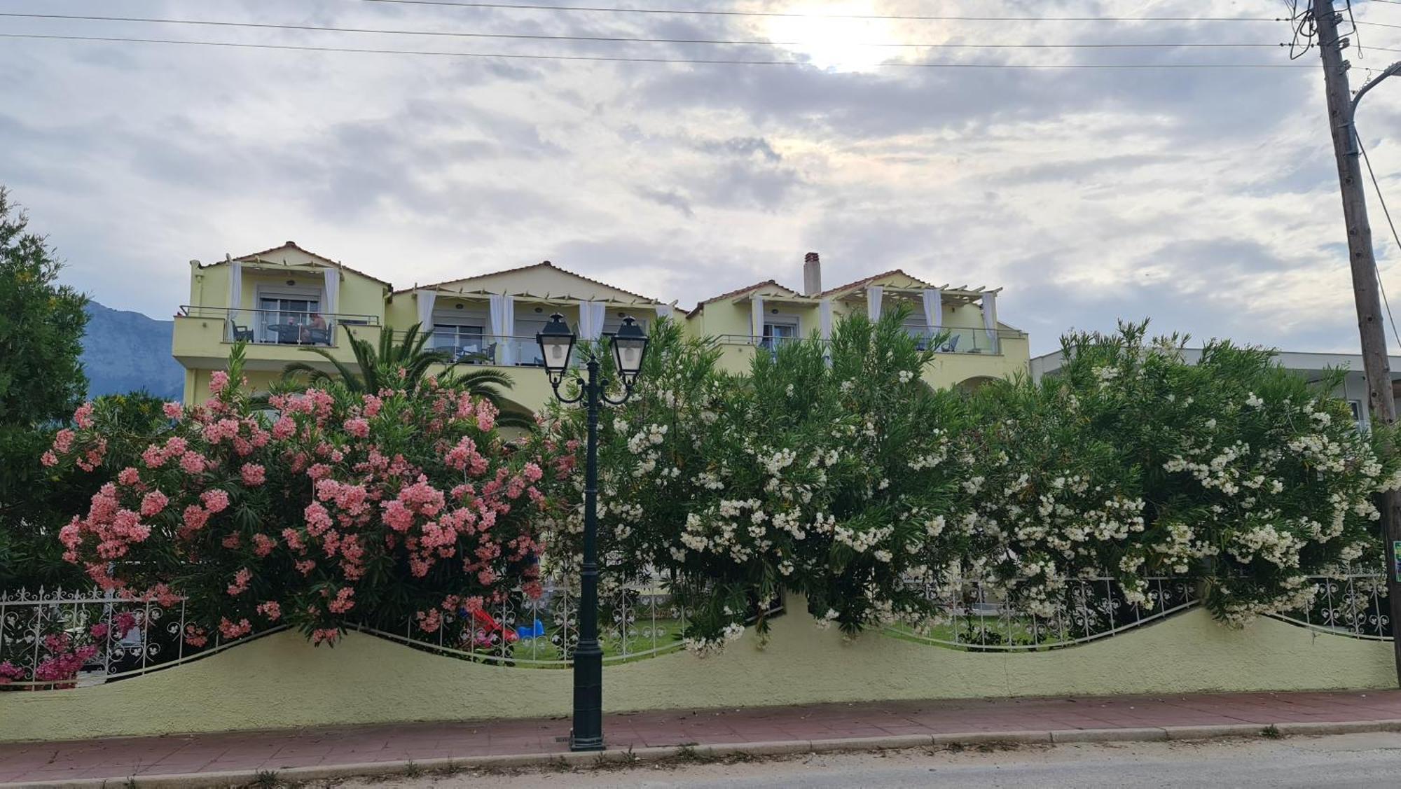 Studios Rania Skala Potamia  Exterior photo
